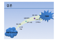 생명보험 발전전략-18