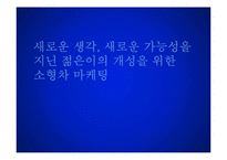 [마케팅] 젊은 층과 노년층의 욕구를 만족시키는 `현대자동차 경차 소형차` 분석 및 마케팅 아이디어-2