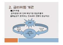 [위험관리론] ALM 개론, 기법 및 전략-10