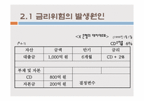 [위험관리론] ALM 개론, 기법 및 전략-11