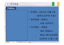 [해외투자론] 아일랜드의 FDI 투자환경-10