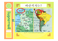 [관광학] 콜롬비아 바란끼자 카니발 분석-5