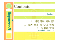 [관광학] 콜롬비아 바란끼자 카니발 분석-6