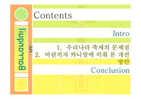 [관광학] 콜롬비아 바란끼자 카니발 분석-13