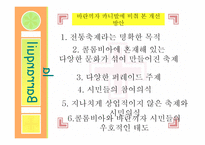 [관광학] 콜롬비아 바란끼자 카니발 분석-15