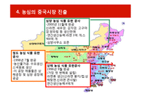 [국제경영] 농심 신라면의 해외진출전략-12