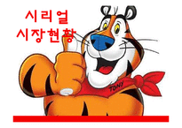 켈로그 스페셜K 마케팅전략-7