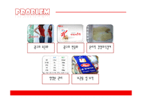 켈로그 스페셜K 마케팅전략-11