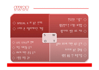 켈로그 스페셜K 마케팅전략-13