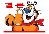 켈로그 스페셜K 마케팅전략-20