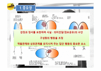 [조직행동론] 커뮤니케이션 효율적 관리방안-5