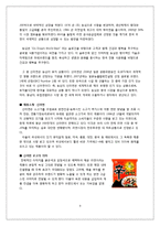 [국제경영] 농심 신라면의 해외진출전략-4