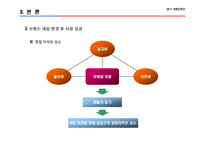 [브랜드마케팅] 대우-쉐보레 브랜드 네임 수정의 성과, 효과 및 향후 전략 예상 변화-17