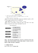 [마케팅] 젊은 층과 노년층의 욕구를 만족시키는 `현대자동차 경차 소형차` 분석 및 마케팅 아이디어-7