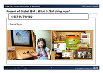 IBM의 CSR 레포트-16