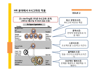 ZC sterling의 6시그마 사례보고서-10