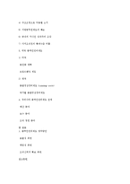 [인사행정론] 총액인건비제도-12