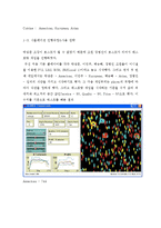 [디지털 정보] 비어게임, 레스토랑게임-4