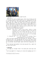 [현대문화이론] `쌍둥이 옹알이 UCC` 분석-17
