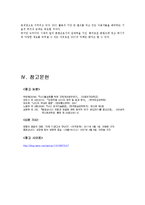 [현대문화이론] `쌍둥이 옹알이 UCC` 분석-20