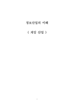 게임산업 -카트라이더-1