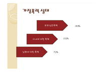 가정 폭력 레포트-5