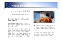 미디어를 통한 테러와 그 사례-13