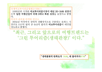 [관광마케팅] DMZ IMC-7