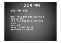 [재정학] 지방축제 문제점과 성공사례-19