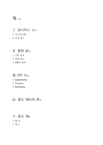 유니더스 광고기획서-2
