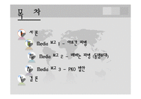 [외교정책론] 이명박 정부 기여외교(PKO, 다국적군)의 Media 보고 분석-3