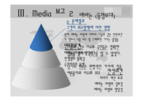 [외교정책론] 이명박 정부 기여외교(PKO, 다국적군)의 Media 보고 분석-16