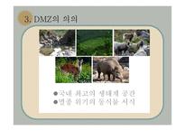[한국정부론] 분단과 6.25 그리고 DMZ-17