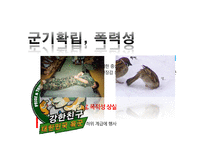 [조직문화] 군사 문화에 대한 문화심리적 접근-8