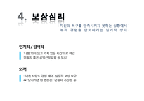 [조직문화] 군사 문화에 대한 문화심리적 접근-14