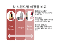 [광고학] Estee Lauder,Clinique, Bobbi Brown의 특징과 STP-20