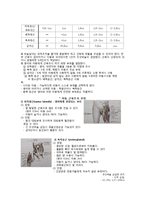 [아동간호학] 투약(PO,IM)-5