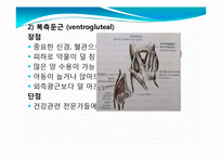 [아동간호학] 투약(PO,IM)-10