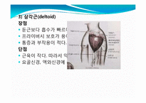 [아동간호학] 투약(PO,IM)-11