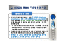 비교문화 모형 - 클러크혼의 모형 --5
