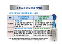 비교문화 모형 - 클러크혼의 모형 --14
