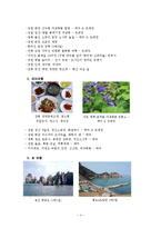 (관광정책론)여행자 클럽-5