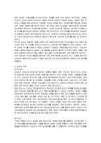 [국제경영] 현대자동차의 미국 진출 성공사례-6