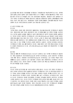 [경영전략] 진에어의 성공요인과 나아갈 방향-3