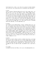 [경영전략] 진에어의 성공요인과 나아갈 방향-6