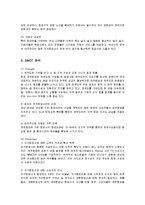 [마케팅] 제주항공의 마케팅 전략 분석-3