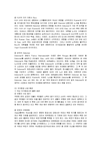 [경영전략] 제주항공의 성공요인 분석-5