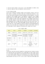 [경영전략] 제주항공의 성공요인 분석-6