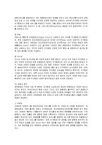 [경영전략] 제주항공의 성공요인 분석-7
