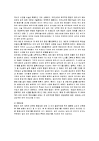 [마케팅] 대한항공의 마케팅 전략과 향후 개선책-7